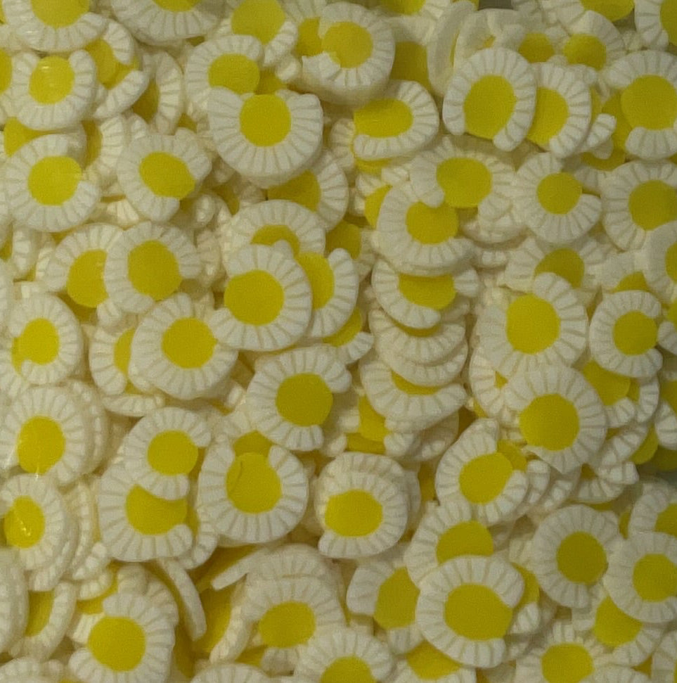 Daisy Flower - Clay Shapes
