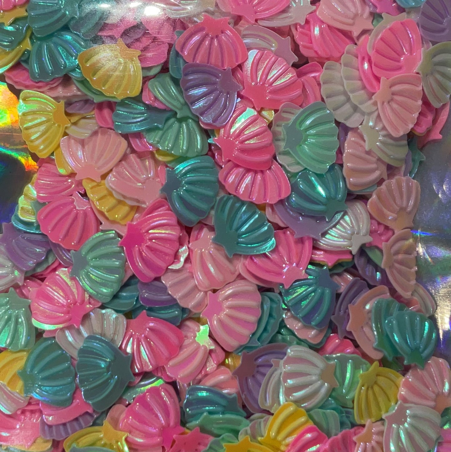 Multicolor Shells Shapes