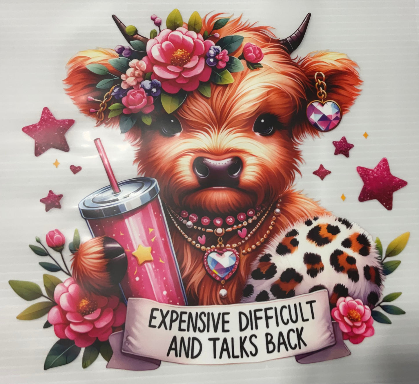 Expensive difficult and talks back
