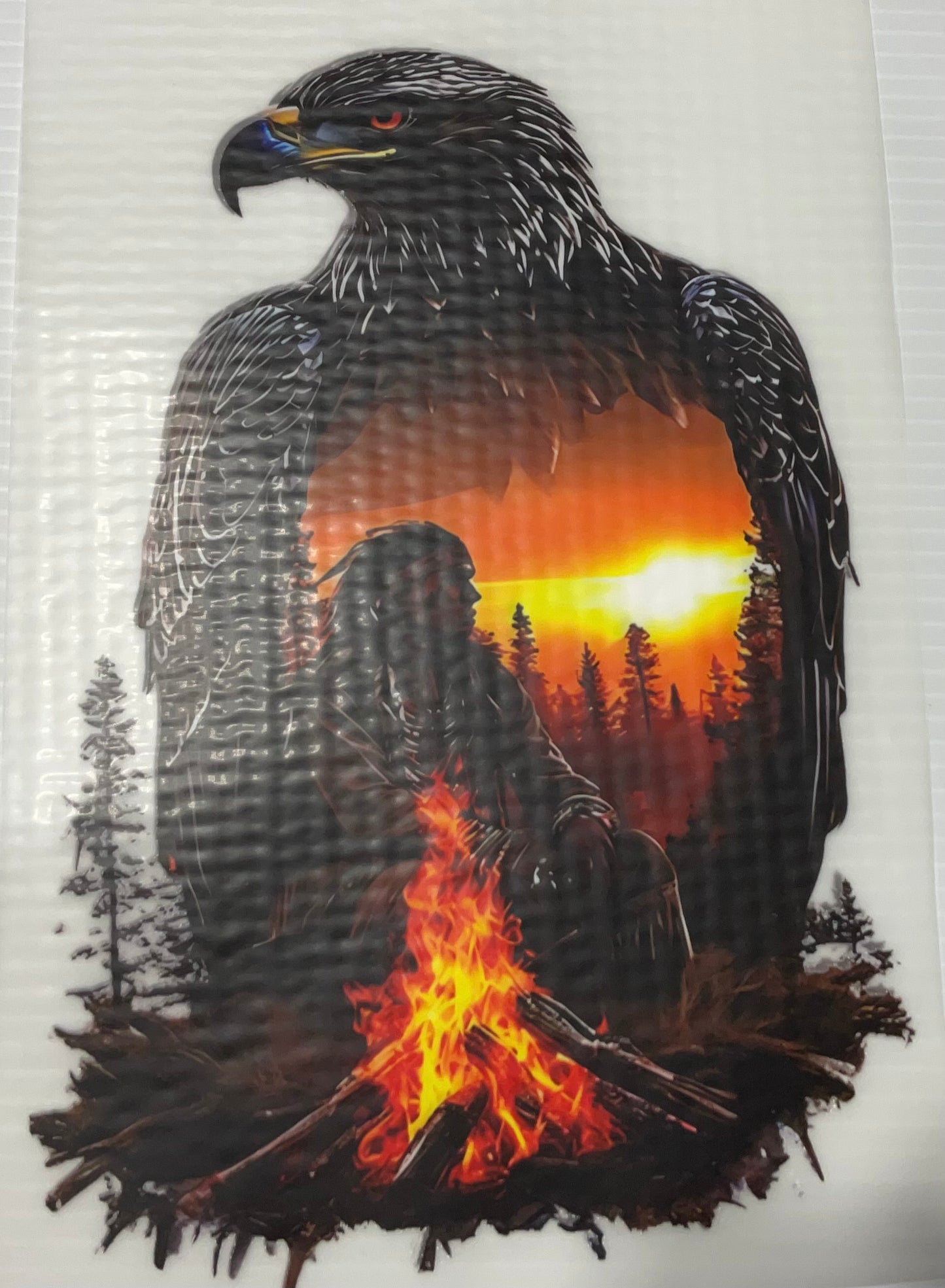 Eagle Sunset