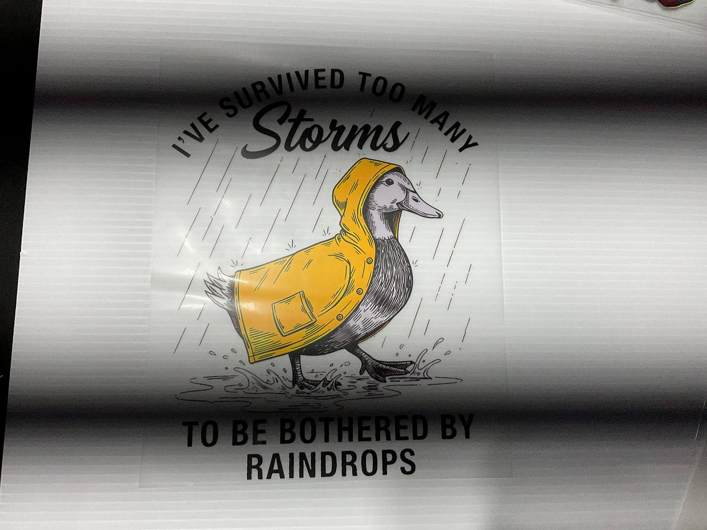 Survived too many storms