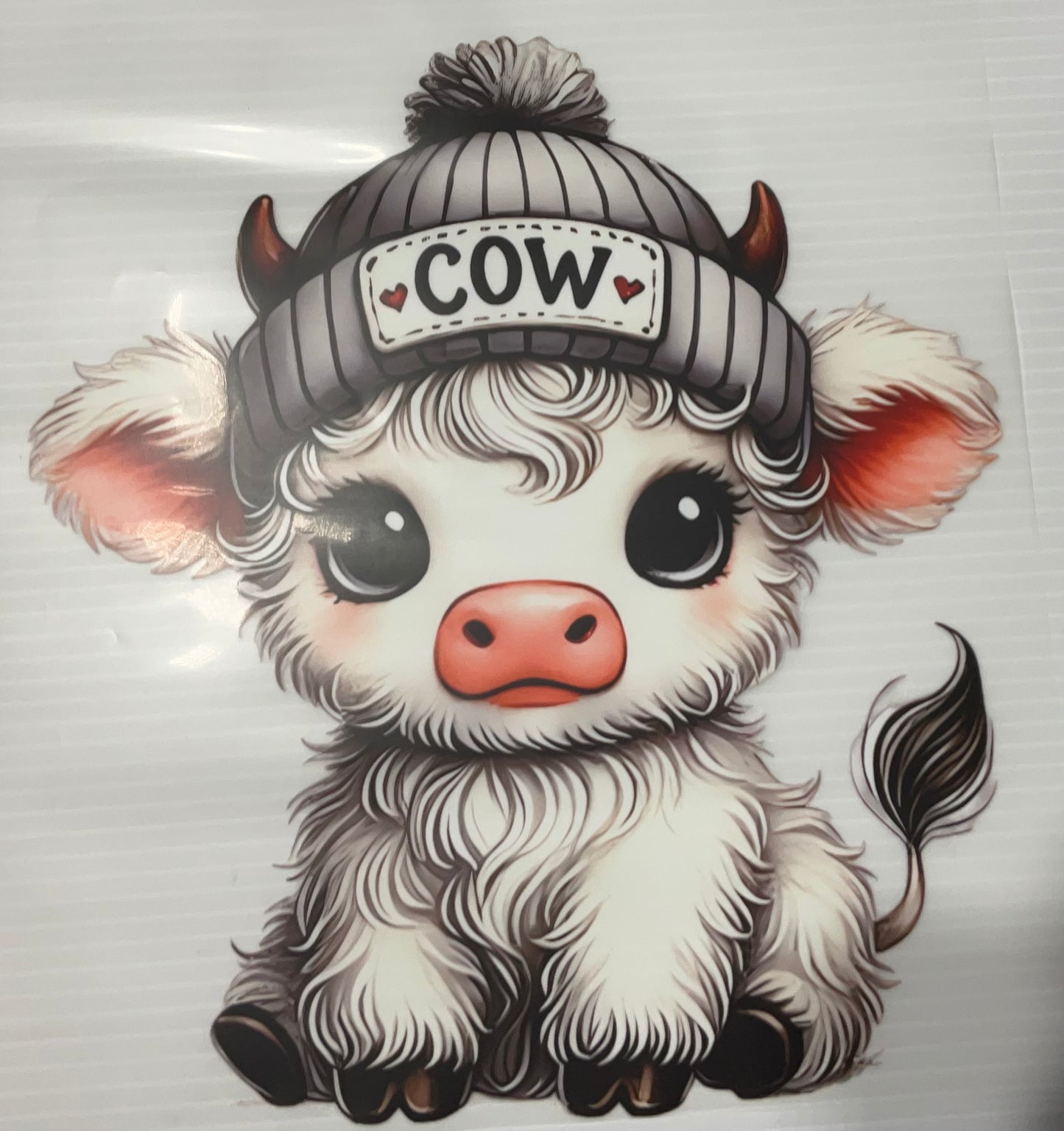 White Baby Cow