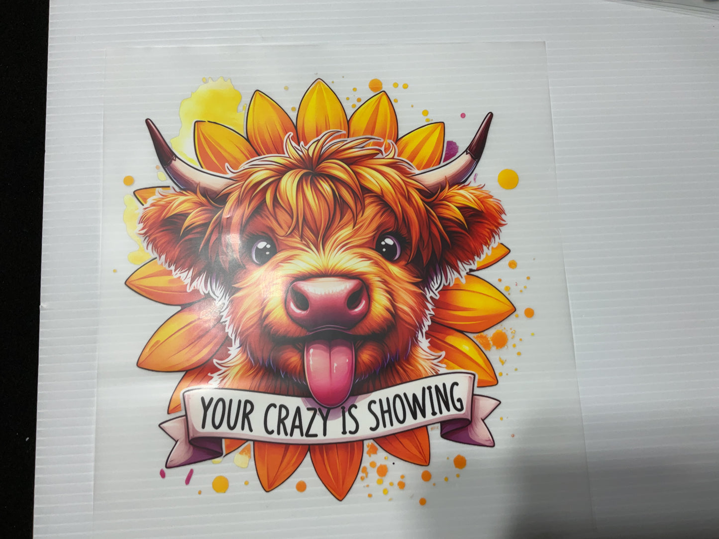 Your Crazy is Showing