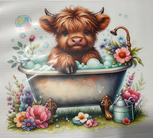 Cow in Tub