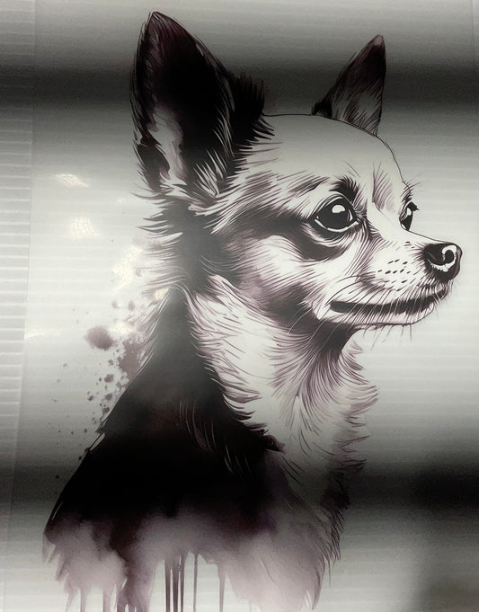 Chihuahua Drawing - DTF Heat Transfer
