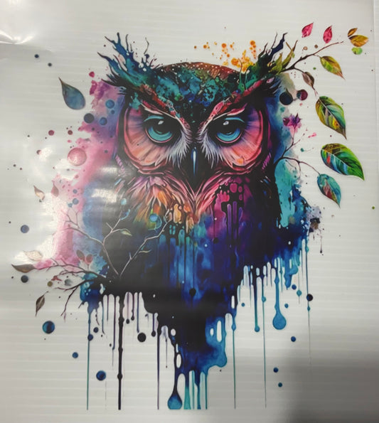 Owl - DTF Heat Transfer
