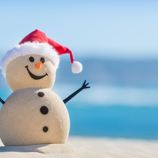 Winter Wonderland - Soy Wax Melts