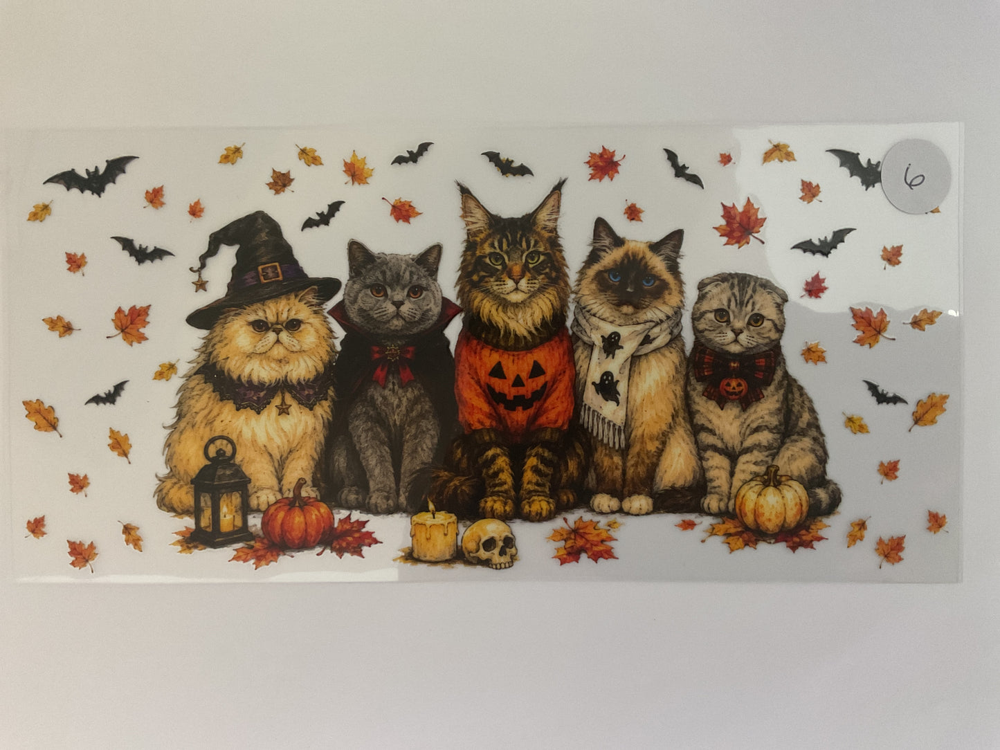 #6H - Cats Halloween - UV DTF