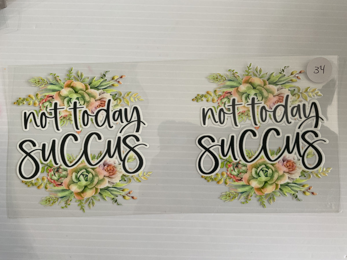 #34 - Not Today Succus Plant