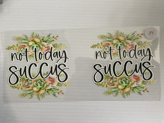 #34 - Not Today Succus Plant