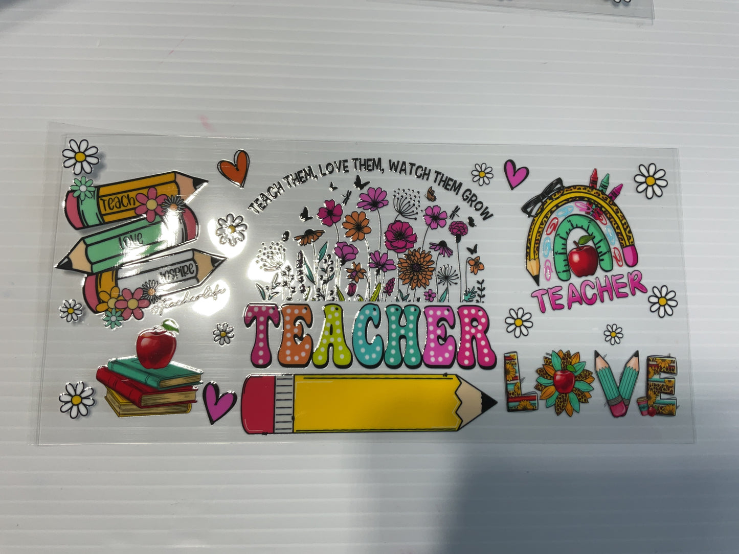 Teacher