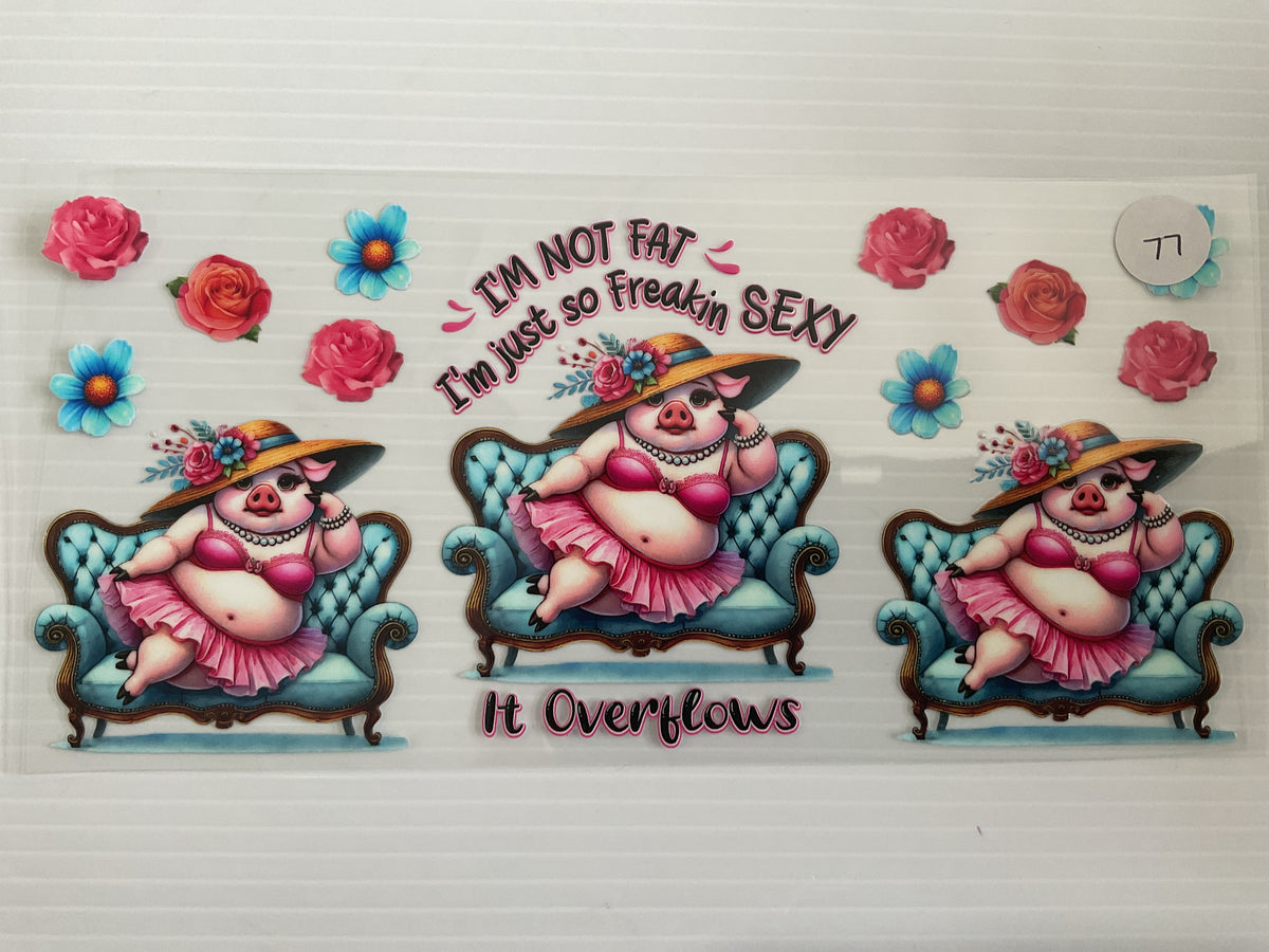 #77 - I’m Not Fat I’m So Sexy it Overflows