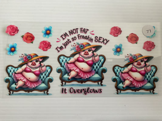 #77 - I’m Not Fat I’m So Sexy it Overflows