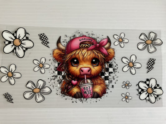 Highland Hot Mess Cow
