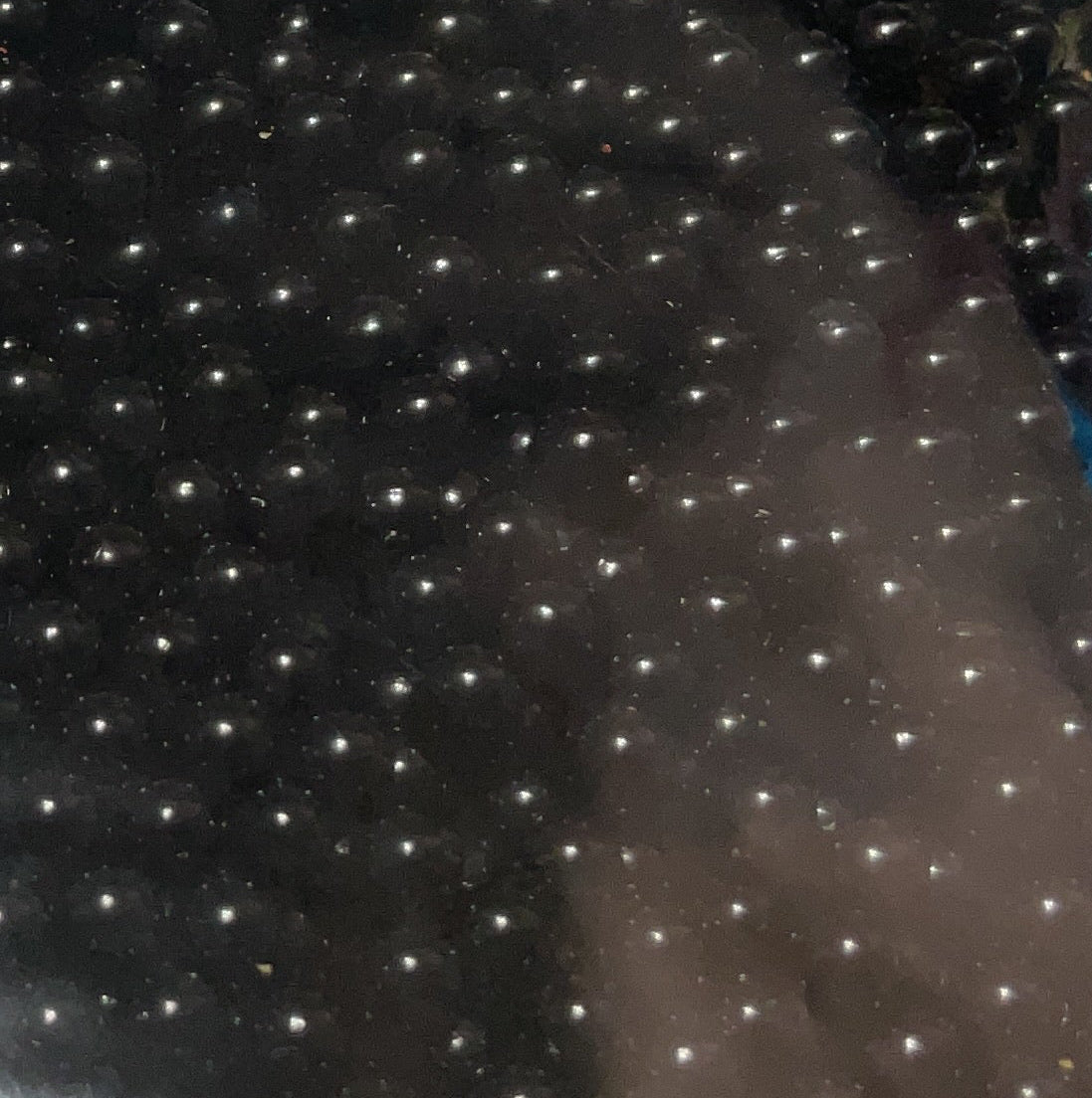 3mm Pearls